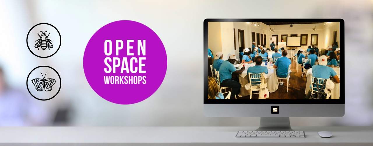 Open Space Workshops